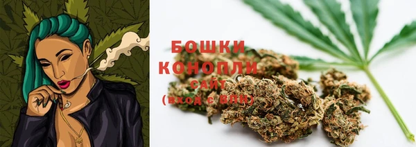 мдпв Новозыбков