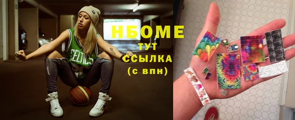 мдпв Новозыбков