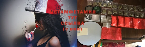 мдпв Новозыбков
