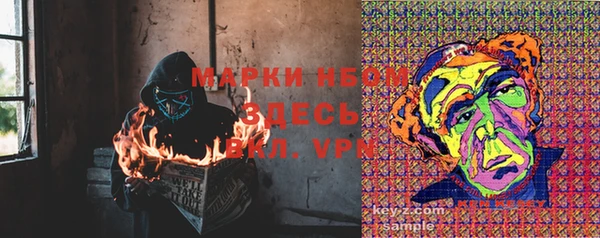 мдпв Новозыбков