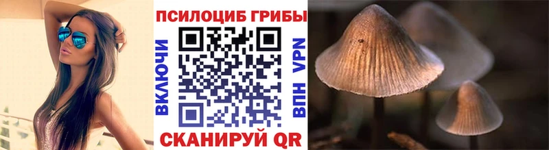 где купить наркотик Ялта ОМГ ОМГ рабочий сайт Галлюциногенные грибы мухоморы