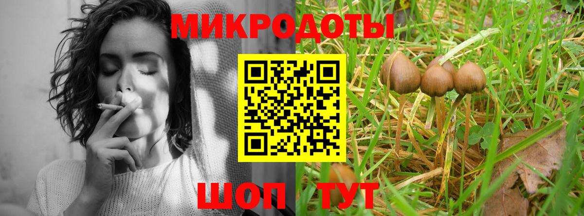 Галлюциногенные грибы Psilocybine cubensis Ялта