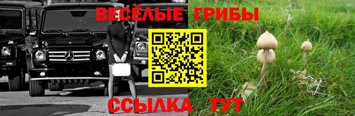 наркота  Вход с VPN  Ялта  Псилоцибиновые грибы ЛСД  Псилоцибиновые грибы GOLDEN TEACHER 